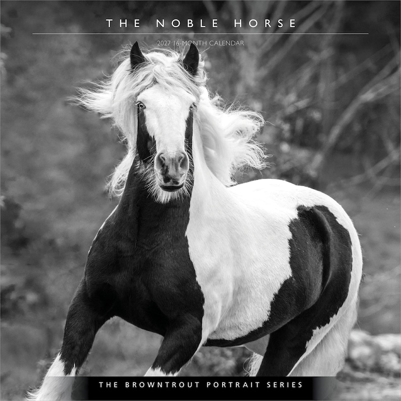 May include: A 2027 16-month calendar titled The Noble Horse from the Browntrout Portrait Series. The cover features a black and white photograph of a pinto horse with a flowing mane, captured in motion against a blurred natural background.