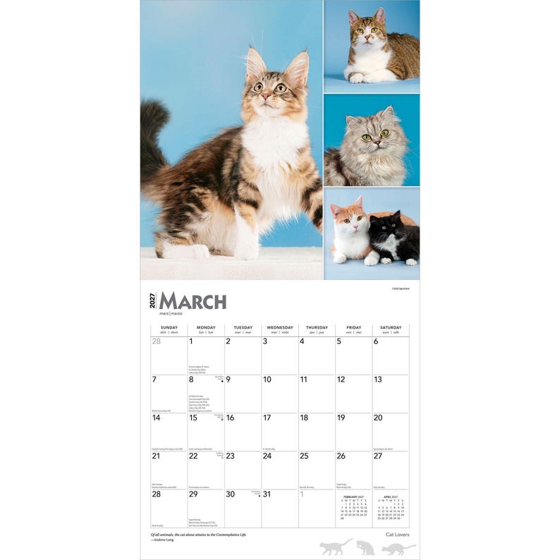 May include: A 2027 wall calendar for the month of March featuring various cat photographs. The top section displays a large brown and white tabby cat alongside three smaller inset images of different cats. The bottom section shows a grid calendar.