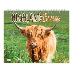 May include: A 2027 double view desk calendar featuring a photograph of a ginger Highland cow with long horns and shaggy fur standing in a green field. The text HIGHLAND COWS is printed in a stylized brown font at the top of the calendar page.