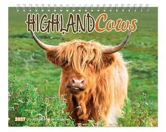Highland Cows | 2027 7.5 x 6 Inch Monthly Double-View Easel Desk Calendar | BrownTrout | Domestic Farm Animals