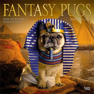 Może przedstawiać: 16-miesięczny kalendarz na 2027 rok zatytułowany FANTASY PUGS FROM THE PUGDOM OF PUPSTAR SONOMA przedstawiający mopsa przebranego za egipskiego faraona. Mops ma na sobie niebiesko-złote nakrycie głowy nemes, koralikowy kołnierz i białą szatę na tle pustyni.