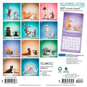 May include: A 2027 16-month wall calendar titled Yoga Puppies & Kittens Together. The back cover displays twelve monthly grid samples featuring puppies and kittens in various yoga poses against colorful backgrounds, plus company contact details.