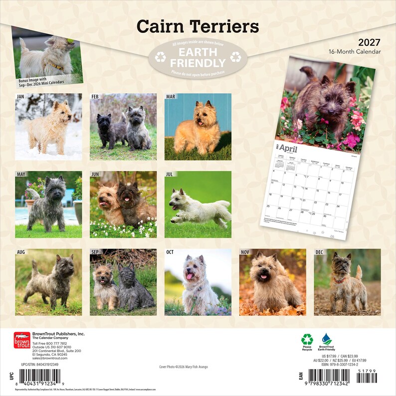 Cairn Terriers | 2027 12 x 24 Inch (Hanging) Monthly Square Wall Calendar | Plastic-Free | BrownTrout | Animals Dog Breeds image 2