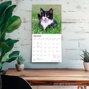 May include: A wall calendar featuring a black and white cat sitting in green grass for the month of March. The calendar grid displays the days of the month with the text March 2027 at the top. The design includes small cat silhouettes at the bottom.