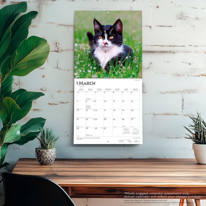 May include: A wall calendar featuring a black and white cat sitting in green grass for the month of March. The calendar grid displays the days of the month with the text March 2027 at the top. The design includes small cat silhouettes at the bottom.