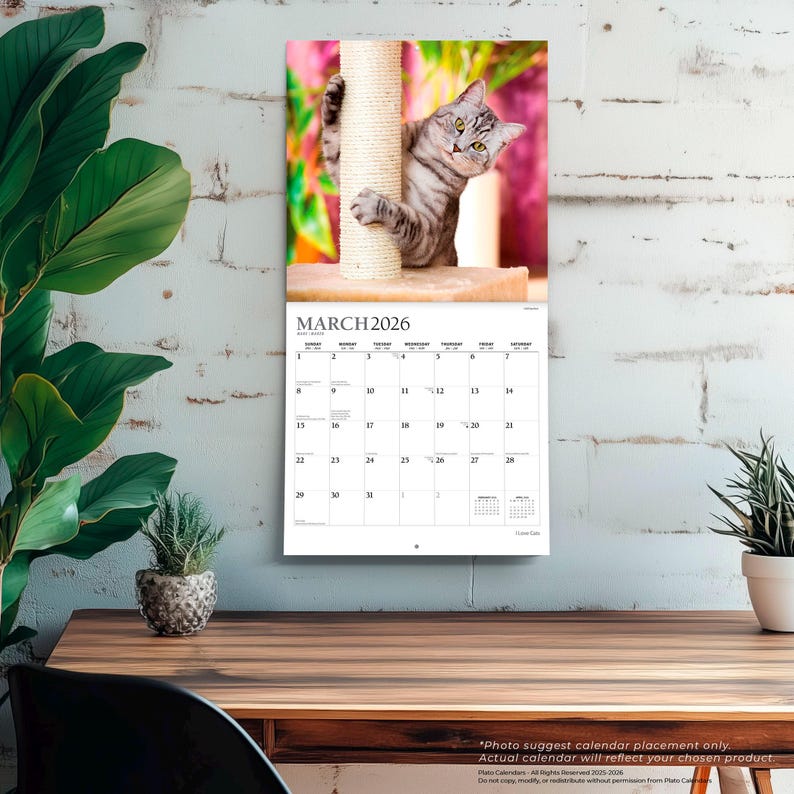I Love Cats | 2026 12 X 24 Inch (hanging) Monthly Square Wall Calendar ...