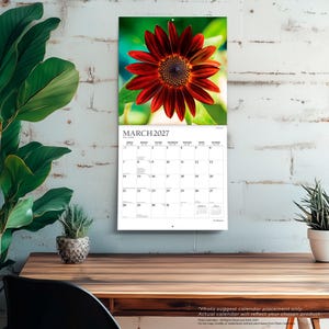 May include: A wall calendar for March 2027 featuring a large, vibrant red sunflower at the top. The calendar grid displays the days of the month with clear black text on a white background, including small reference calendars for February and April 2027.