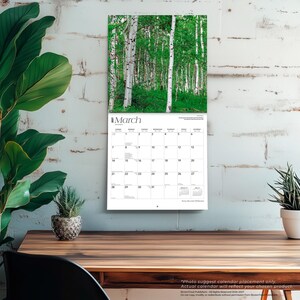 May include: A 2027 wall calendar featuring a photograph of a forest with white-barked birch trees and green foliage. The calendar page displays the month of March with a grid of dates, including small calendars for February and April 2027.