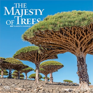 May include: A 2027 16-month calendar titled The Majesty of Trees featuring a photograph of multiple dragon blood trees with umbrella-shaped canopies and thick, textured trunks standing on a rocky landscape under a clear blue sky.