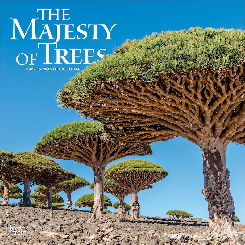May include: A 2027 16-month calendar titled The Majesty of Trees featuring a photograph of multiple dragon blood trees with umbrella-shaped canopies and thick, textured trunks standing on a rocky landscape under a clear blue sky.