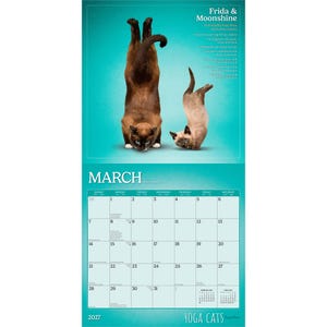 Yoga Cats Together OFFICIAL | 2027 12 x 24 Inch (Hanging) Monthly Square Wall Calendar | Plato | Animals Humor Pets bild 3