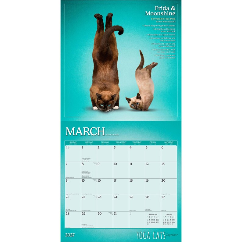 Yoga Cats Together OFFICIAL | 2027 12 x 24 Inch (Hanging) Monthly Square Wall Calendar | Plato | Animals Humor Pets bild 3