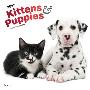 Peut inclure: Un calendrier de 16 mois 2027 intitul&eacute; Kittens & Puppies montrant un chaton noir et blanc et un chiot dalmatien blanc &agrave; taches noires. Le texte 2027 Kittens & Puppies 16-Month Calendar est imprim&eacute; en rouge et gris. La marque Plato est en bas.