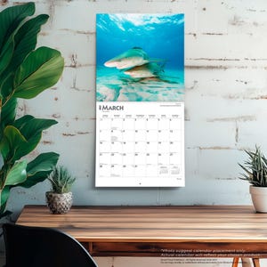 Puede incluir: Un calendario de pared para marzo de 2027 con una fotograf&iacute;a de dos tiburones nadando en aguas oce&aacute;nicas de color azul claro. La cuadr&iacute;cula del calendario muestra los d&iacute;as del mes con el texto Marzo 2027 claramente visible en la parte superior.