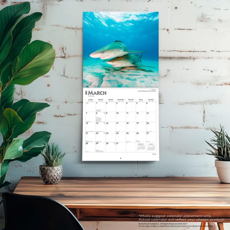 Puede incluir: Un calendario de pared para marzo de 2027 con una fotograf&iacute;a de dos tiburones nadando en aguas oce&aacute;nicas de color azul claro. La cuadr&iacute;cula del calendario muestra los d&iacute;as del mes con el texto Marzo 2027 claramente visible en la parte superior.