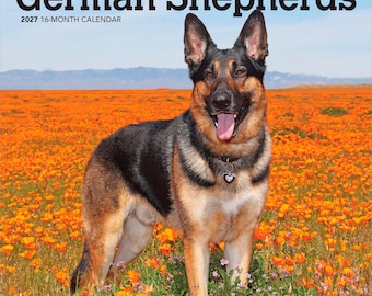 German Shepherds | 2027 7 x 14 Inch (Hanging) Monthly Mini Wall Calendar | BrownTrout | Animals Dog Breeds