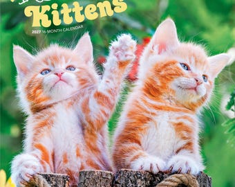 I Love Kittens | 2027 12 x 24 Inch (Hanging) Monthly Square Wall Calendar | Plastic-Free | BrownTrout | Animals Cats Feline