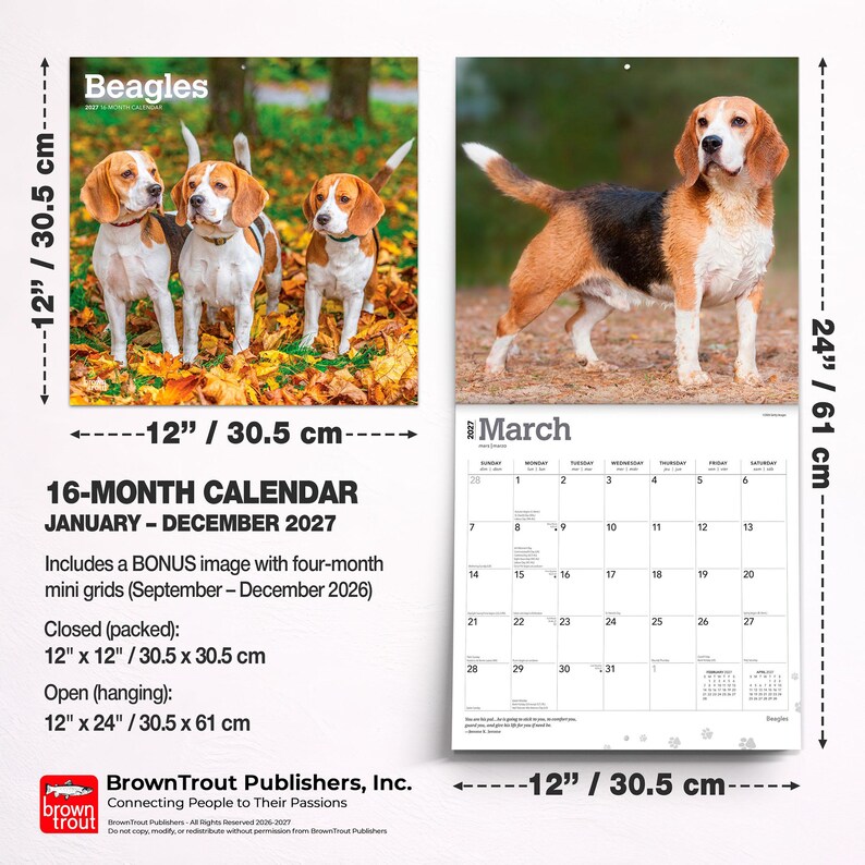 May include: A 16-month Beagles calendar for 2027, measuring 30.5 cm by 30.5 cm closed and 30.5 cm by 61 cm open. The cover shows three beagles in autumn leaves, while the interior page displays a March 2027 grid and a beagle photo.