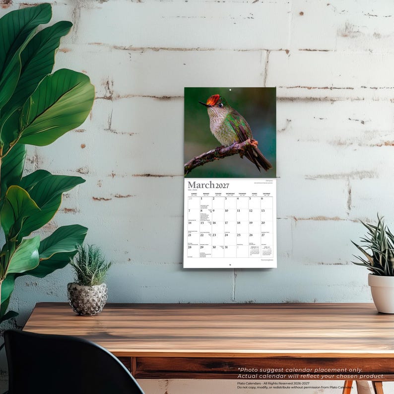 K&ouml;nnte beinhalten: Ein Wandkalender f&uuml;r M&auml;rz 2027 mit einer Fotografie eines kleinen Vogels mit rotem Scheitel und gr&uuml;nem Gefieder, der auf einem braunen Ast sitzt. Das Kalenderraster zeigt die Tage des Monats mit schwarzem Text auf wei&szlig;em Grund.