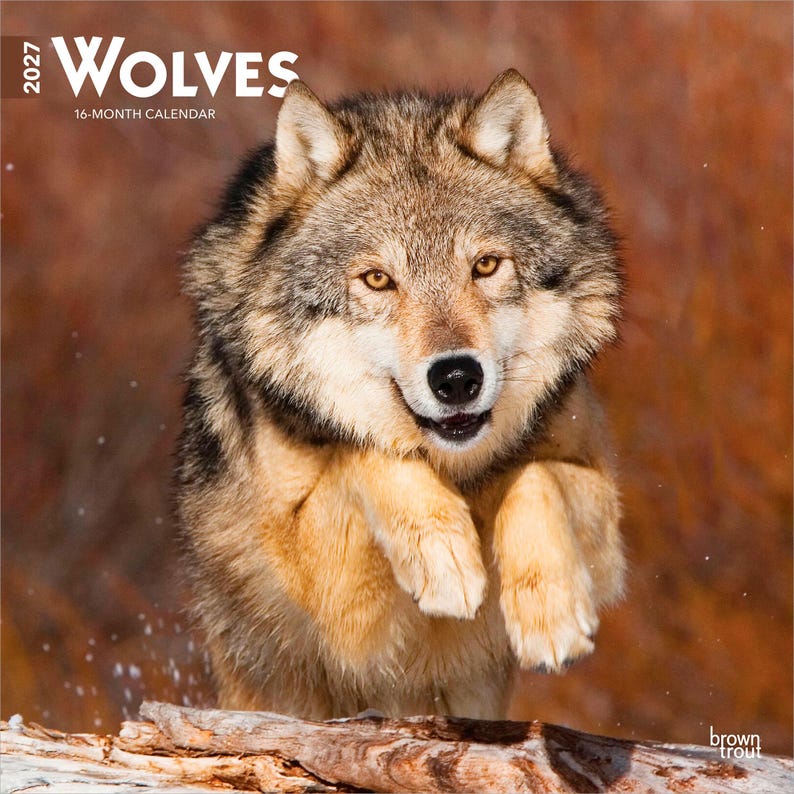 May include: A 2027 16-month calendar titled WOLVES featuring a photograph of a gray and tan wolf leaping over a fallen log. The wolf has amber eyes, a black nose, and thick fur. The background is a blurred, warm-toned natural landscape.