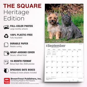 Cairn Terriers | 2027 12 x 24 Inch (Hanging) Monthly Square Wall Calendar | Plastic-Free | BrownTrout | Animals Dog Breeds image 6