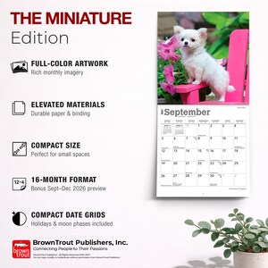 Puede incluir: Un calendario de pared 2027 titulado The Miniature Edition que muestra un cachorro de Chihuahua blanco en una silla rosa brillante para el mes de septiembre. El calendario incluye un formato de 16 meses, cuadr&iacute;culas de fechas compactas y fases lunares.