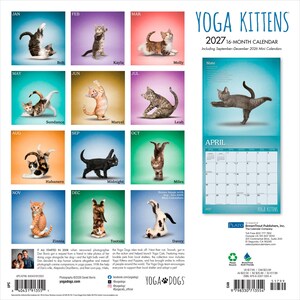 Puede incluir: Un calendario de pared Yoga Kittens 2027 de 16 meses con doce cuadrados individuales que muestran gatitos en varias posturas de yoga, cada uno etiquetado con un nombre. El lado derecho muestra una p&aacute;gina de muestra de abril con un gatito gris.