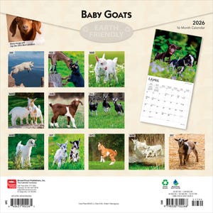 K&ouml;nnte beinhalten: Ein 16-Monats-Kalender 2026 mit Bildern von Ziegenbabys. Der Kalender enth&auml;lt ein Bonusbild mit Mini-Kalendern von September bis Dezember 2025. Der Kalender ist umweltfreundlich und zeigt Ziegen in verschiedenen Umgebungen.