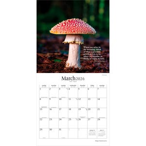 May include: A 2026 calendar with a striking image of a red and white mushroom, accompanied by a quote about life's preciousness. The March calendar page is visible, with a clear date grid. The backdrop is a blurred woodland scene.