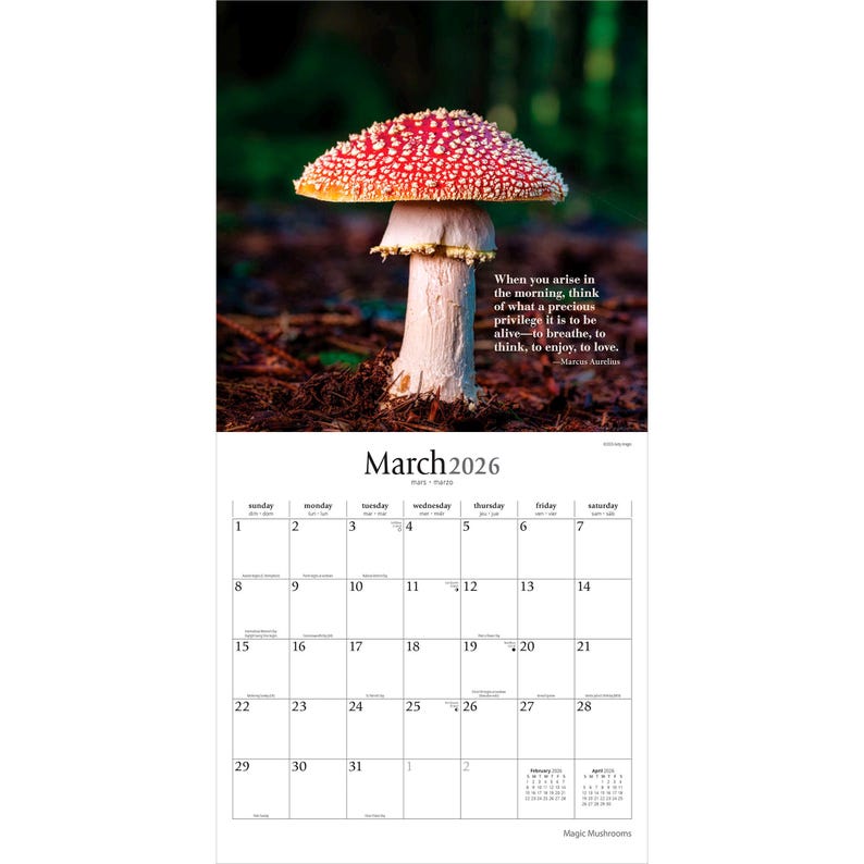 May include: A 2026 calendar with a striking image of a red and white mushroom, accompanied by a quote about life's preciousness. The March calendar page is visible, with a clear date grid. The backdrop is a blurred woodland scene.