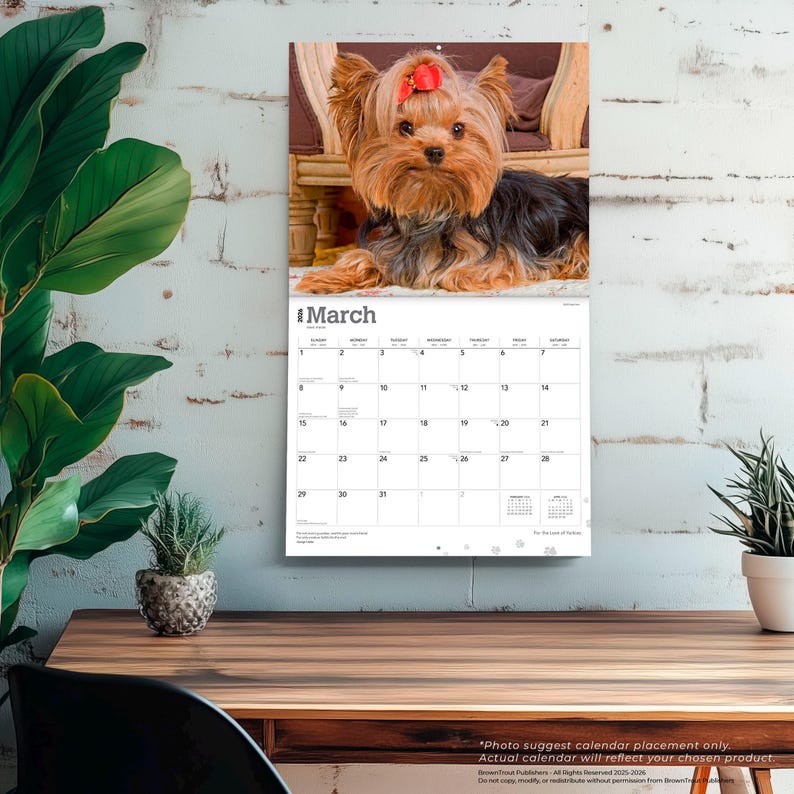 Peut inclure: Calendrier mural de mars avec un Yorkshire Terrier orn&eacute; d'un n&oelig;ud rouge. Le chien est allong&eacute; sur une chaise. Le calendrier est accroch&eacute; &agrave; un mur de briques blanches. Sur une table en bois.