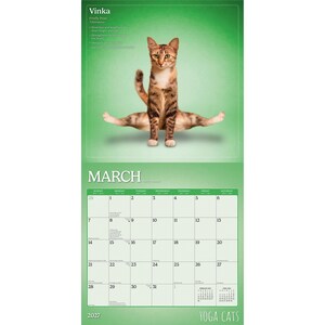 May include: A 2027 Yoga Cats calendar showing a brown tabby cat in a yoga pose. The March calendar page is displayed with a green background. The calendar includes the text "Vinka Firefly Pose".