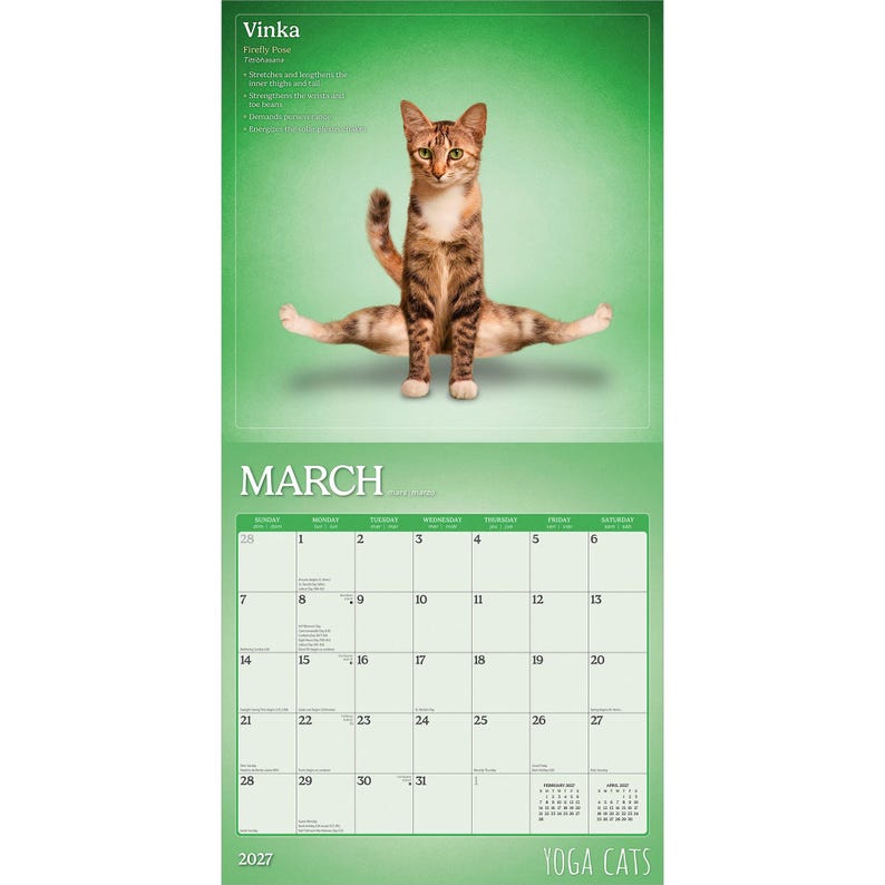 May include: A 2027 Yoga Cats calendar showing a brown tabby cat in a yoga pose. The March calendar page is displayed with a green background. The calendar includes the text "Vinka Firefly Pose".