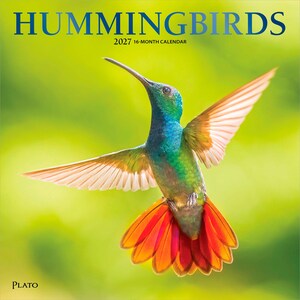 K&ouml;nnte beinhalten: Ein 16-Monats-Kalender f&uuml;r 2027 mit dem Titel HUMMINGBIRDS, der einen leuchtend gr&uuml;nen und blauen Kolibri im Flug mit ausgebreiteten Fl&uuml;geln und einem hellen orange-roten Schwanz vor einem unscharfen gr&uuml;nen Hintergrund zeigt. Unten steht PLATO.