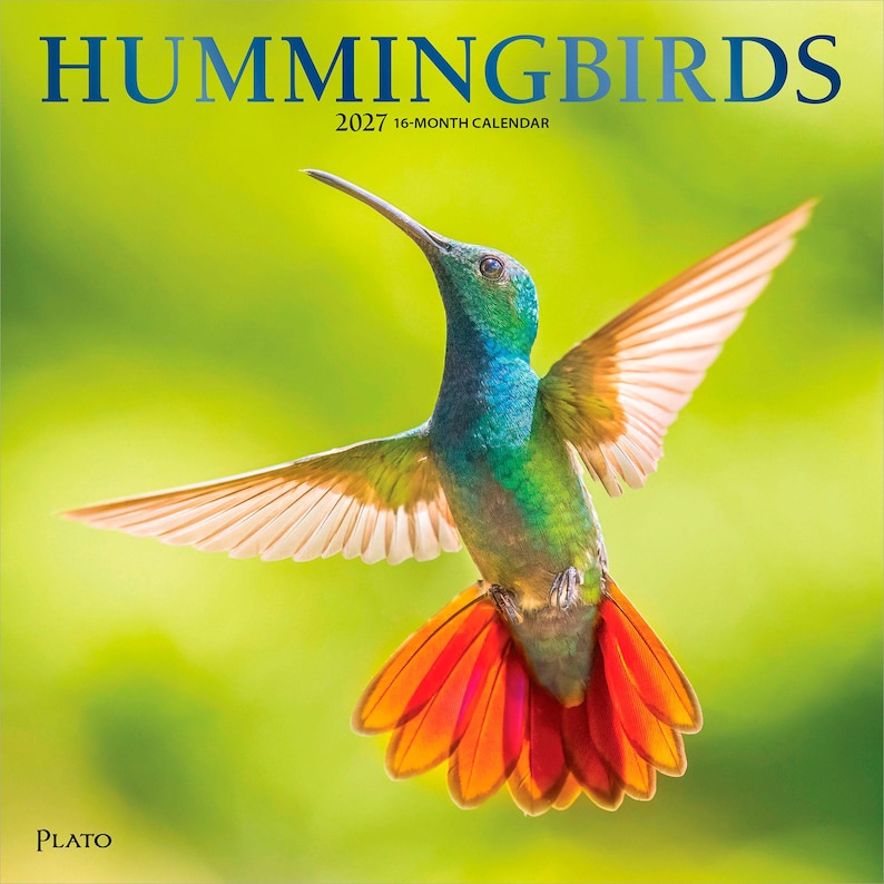 K&ouml;nnte beinhalten: Ein 16-Monats-Kalender f&uuml;r 2027 mit dem Titel HUMMINGBIRDS, der einen leuchtend gr&uuml;nen und blauen Kolibri im Flug mit ausgebreiteten Fl&uuml;geln und einem hellen orange-roten Schwanz vor einem unscharfen gr&uuml;nen Hintergrund zeigt. Unten steht PLATO.