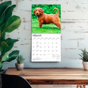 K&ouml;nnte beinhalten: Ein Wandkalender f&uuml;r M&auml;rz 2025 mit einem Foto eines goldbraunen Welpen, der auf gr&uuml;nem Gras steht. Das Kalenderraster zeigt die Tage des Monats mit dem Text March 2025 oben, einschlie&szlig;lich kleiner Kalender f&uuml;r Februar und April.