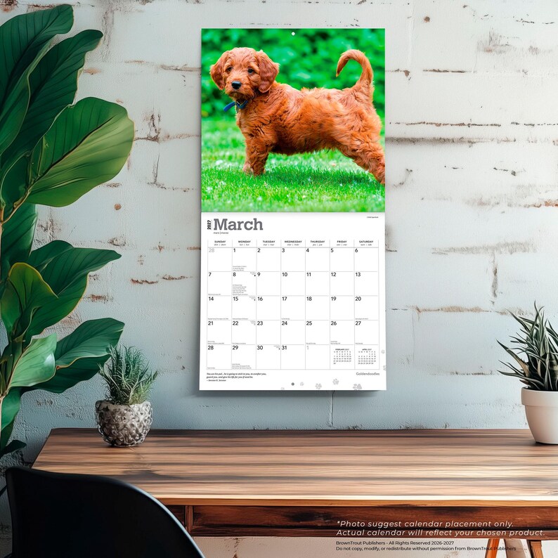 K&ouml;nnte beinhalten: Ein Wandkalender f&uuml;r M&auml;rz 2025 mit einem Foto eines goldbraunen Welpen, der auf gr&uuml;nem Gras steht. Das Kalenderraster zeigt die Tage des Monats mit dem Text March 2025 oben, einschlie&szlig;lich kleiner Kalender f&uuml;r Februar und April.