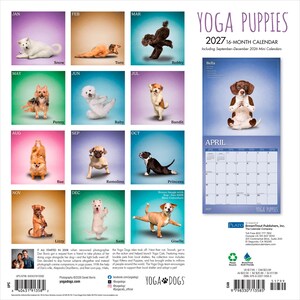 K&ouml;nnte beinhalten: Ein 16-monatiger Yoga Puppies Wandkalender f&uuml;r 2027 mit zw&ouml;lf einzelnen quadratischen Bildern von Welpen in verschiedenen Yoga-Posen, jeweils mit Namen und Monat beschriftet. Die rechte Seite zeigt ein April-Kalenderblatt mit Foto.