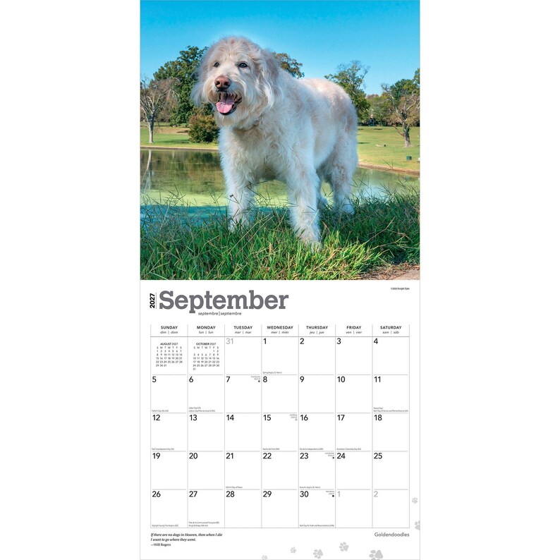 K&ouml;nnte beinhalten: Ein Wandkalender f&uuml;r September 2027 mit einem Foto eines hellen, zotteligen Hundes, der im gr&uuml;nen Gras an einem Teich steht. Das Kalenderraster zeigt die Tage des Monats mit schwarzem Text auf einem wei&szlig;en Hintergrund.