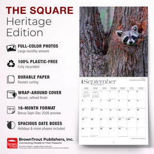 K&ouml;nnte beinhalten: Ein Wandkalender 2027 mit dem Titel THE SQUARE Heritage Edition, der im September einen Waschb&auml;ren in einem Baumloch zeigt. Die Produktdetails umfassen Farbfotos, plastikfreies Papier, einen Umschlag und ger&auml;umige Datumsfelder f&uuml;r Notizen.