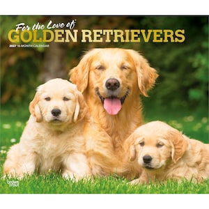 For the Love of Golden Retrievers 2027 14 x 24 Inch (Hanging) Monthly Deluxe Wall Calendar | Foil Stamped Cover | Plastic-Free | BrownTrout