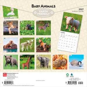 Pode incluir: Um calend&aacute;rio de parede de 16 meses para 2027 intitulado Baby Animals, apresentando v&aacute;rios animais jovens, incluindo um filhote de le&atilde;o, um filhote de zebra, um leit&atilde;o, uma lontra, um cordeiro, uma raposa, um urso, uma girafa e um pinguim.