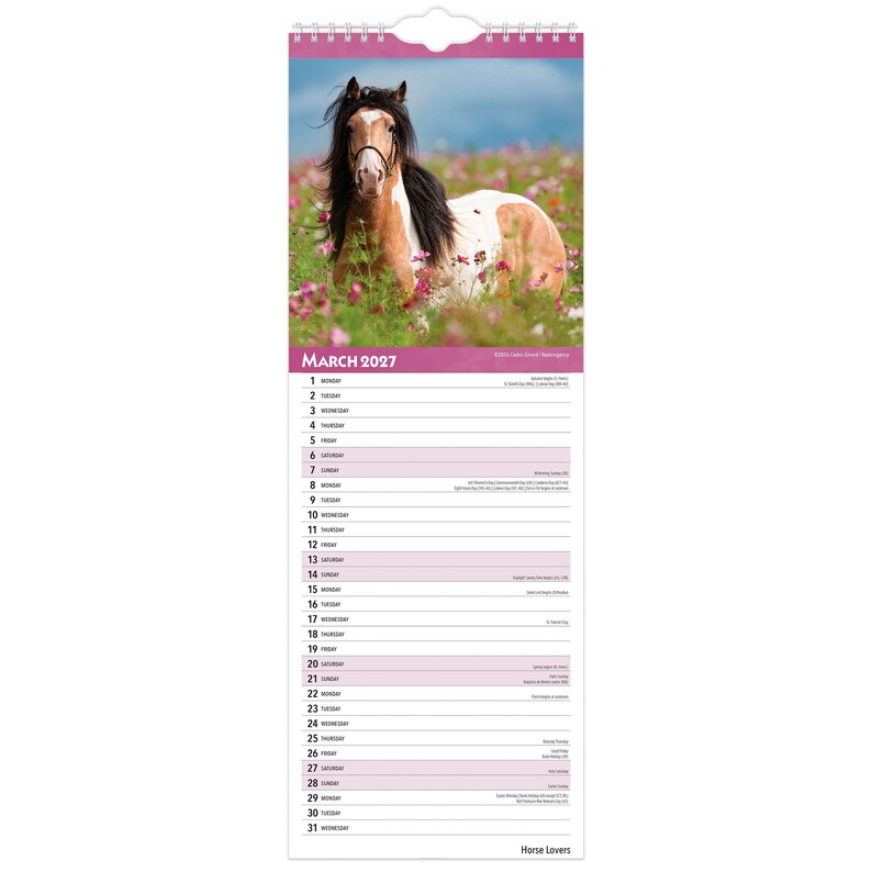May include: A wall calendar for March 2027 featuring a photograph of a brown and white pinto horse with a black mane standing in a field of pink and white cosmos flowers. The calendar grid lists the days of the month with a white background.