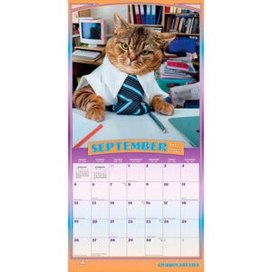 Pode incluir: Um calend&aacute;rio de parede para setembro de 2027 com um gato malhado castanho a usar uma camisa branca de colarinho e uma gravata &agrave;s riscas azuis e pretas. O gato est&aacute; sentado a uma secret&aacute;ria com um computador, canetas e pap&eacute;is. A grelha mostra as datas de 1 a 30.