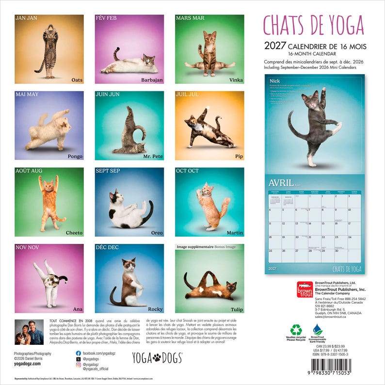 Pu&ograve; includere: Un calendario da parete di 16 mesi per il 2027 intitolato CHATS DE YOGA con dodici quadrati colorati, ognuno dei quali mostra un gatto diverso in una posizione yoga. Il calendario include una grande griglia mensile per aprile e testo descrittivo.