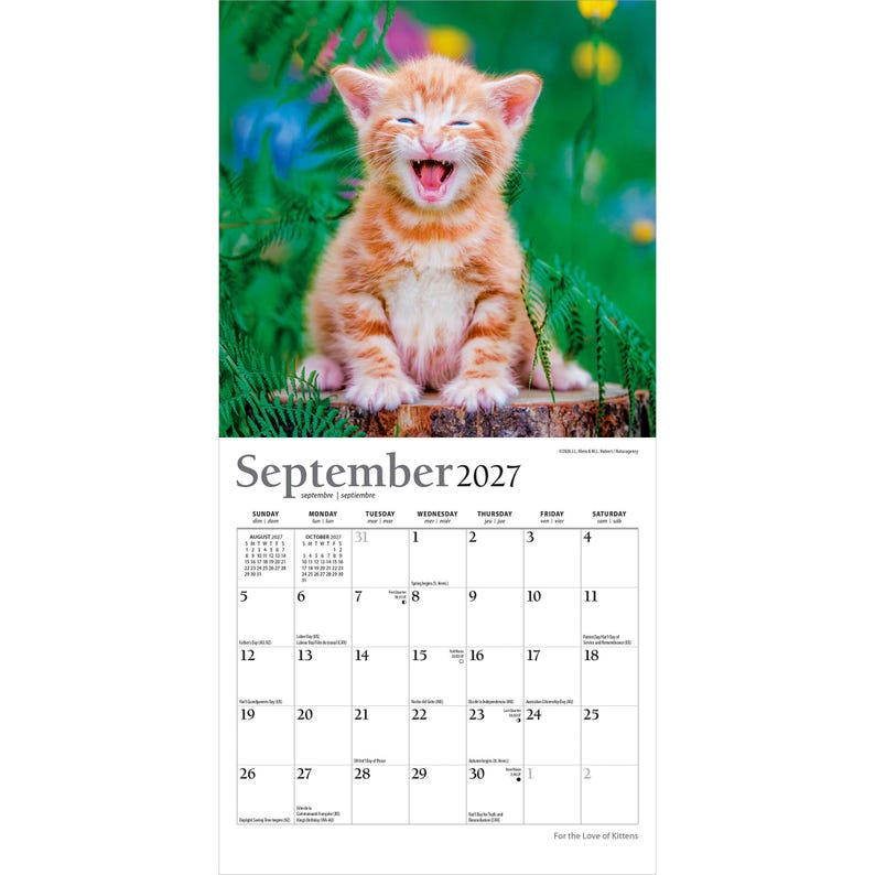 May include: A wall calendar for September 2027 featuring a photograph of a ginger tabby kitten with its mouth open in a joyful expression, sitting on a wooden log surrounded by green foliage and blurred colorful flowers in the background.