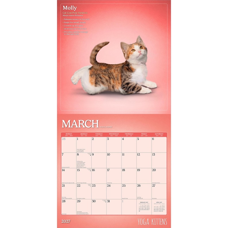 Puede incluir: Un calendario de pared de 2027 titulado Yoga Kittens que muestra un gatito calic&oacute; en la p&aacute;gina superior. El mes de marzo se muestra debajo con una cuadr&iacute;cula de fechas. El fondo es un degradado de rosa coral. El texto Molly est&aacute; impreso arriba.