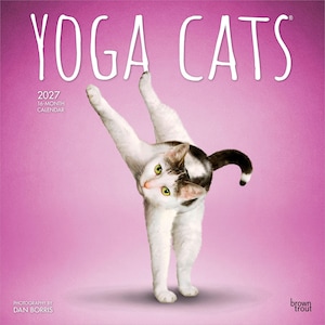 May include: A 2027 16-month calendar titled "Yoga Cats" shows a white and brown cat in a yoga pose against a pink background. The cat has green eyes and is bending over backward. The calendar is from BrownTrout.