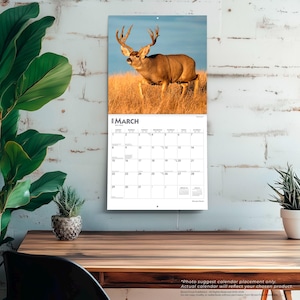 May include: A wall calendar featuring a majestic deer with large antlers in a field of tall grass under a blue sky. The calendar is open to March, with a white grid of dates. The calendar is hanging on a white brick wall.