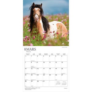 May include: A 2027 wall calendar featuring a photograph of a brown and white pinto horse with a black mane standing in a field of pink and purple cosmos flowers. The calendar grid for the month of March is displayed below the horse image.
